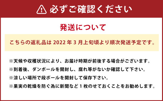 【2022年3月～発送予定】甘夏みかん 5kg オレンジ 柑橘