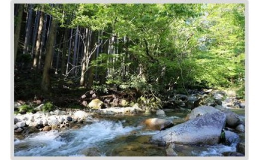 森のジビエ 鹿肉しゃぶしゃぶ用 600g A-JJ-A16A