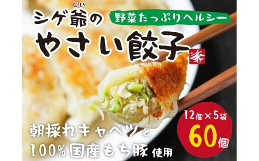 新鮮な野菜と厳選した国産素材で作るこだわりの自家製野菜餃子を60個セット（12個入×5袋）でお届けします。