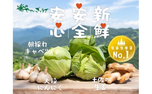 【餃子づくりは畑から。私たちは野菜農家です】私たちは、安心・安全で、自分たちが本当に美味しいと思える野菜をつくっています。