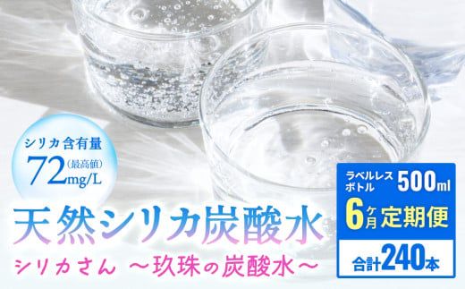 [６ヶ月 定期便]天然シリカ炭酸水 シリカさん～玖珠の炭酸水～　500ml × 40本