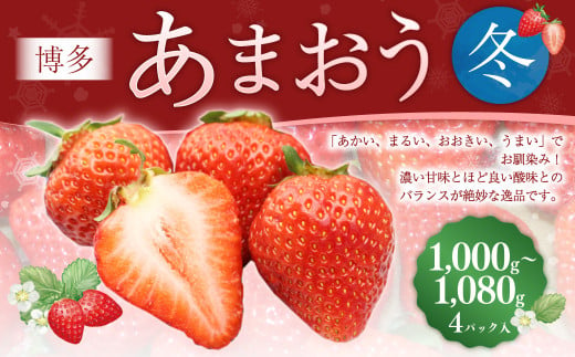 博多あまおう2パック（冬） 250g～270g×4パック【2024年12月上旬-2025年1月下旬発送予定】