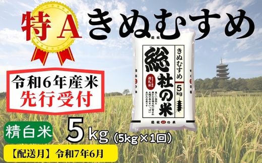 【令和6年産】特Aきぬむすめ【精白米】5kg 岡山県総社市産米〔令和7年6月配送〕24-007-020