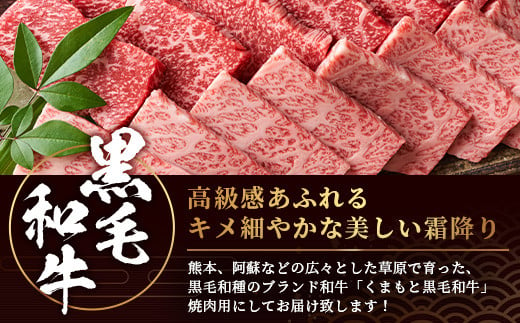 【A4～A5】くまもと黒毛和牛焼肉用　500ｇ