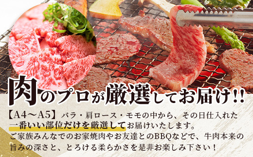 【A4～A5】くまもと黒毛和牛焼肉用　500ｇ