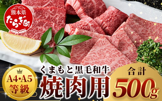 【A4～A5】くまもと黒毛和牛焼肉用　500ｇ