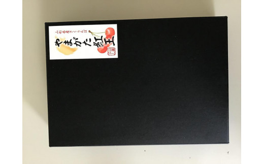 【令和7年産先行受付】山形県中山町産さくらんぼ温室＜やまがた紅王＞特秀品　2L/3L　混合