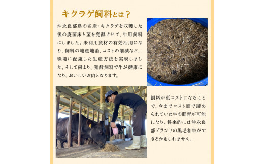 【2025年先行予約】きくらげ牛の肉そぼろ 100g×2セット　C037-003-02