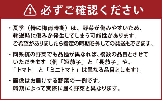 野菜のプロ40年が届ける こだわり野菜セット！ 7～8品目 詰め合わせ