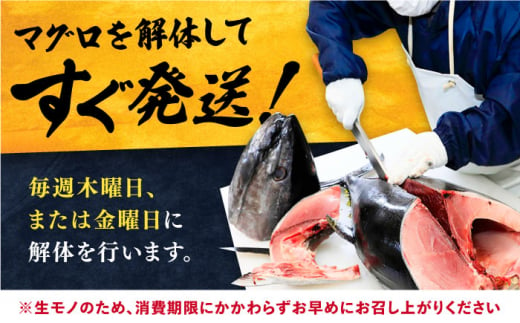 対馬産 生 本マグロ 800g （赤身、中トロ、大トロ）《対馬市》　【対海】 中トロ 大トロ まぐろ マグロ 鮪 [WAH026]