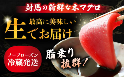 対馬産 生 本マグロ 800g （赤身、中トロ、大トロ）《対馬市》　【対海】 中トロ 大トロ まぐろ マグロ 鮪 [WAH026]