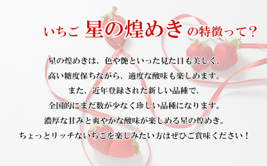 農家直送 いちご 星の煌めき 600g フルーツ 徳島県 阿波市