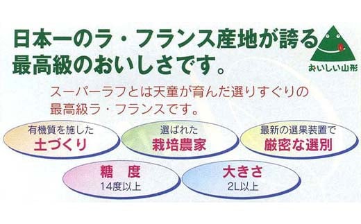 【先行予約 2024年度発送】 スーパーラフ(ラ・フランス) 糖度14度以上 約7～9玉(約2.8kg) なし ナシ 梨 デザート フルーツ 果物 くだもの 果実 食品 山形県 FSY-1229