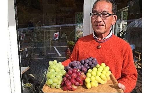 ご家庭用 シャインマスカット 約700g（1房～数房） ぶどう フルーツ 果物 岡山 五果苑