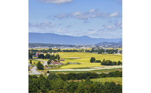 ＜毎月定期便＞山形県産　はえぬき　玄米　5kg全6回【4059372】