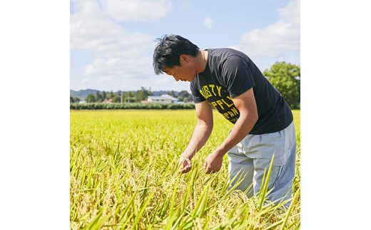 ＜毎月定期便＞山形県産　はえぬき　玄米　5kg全6回【4059372】