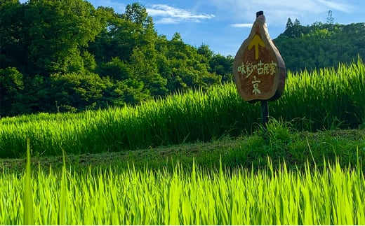 味彩の古民家 京 お食事券 お土産 付き チケット 4名様分(1枚)  ランチ お持ち帰り 古民家 カフェ