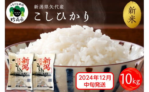 【2024年12月中旬発送】令和6年産 新潟県矢代産コシヒカリ10kg