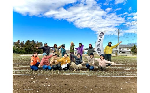 [定期便 3ヶ月ごと4回お届け] 柴海農園 旬の「おてごろやさい」セット (8種類前後) [0227]