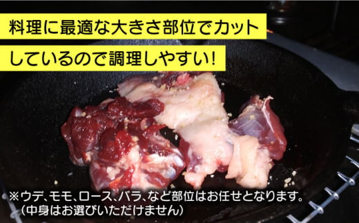 【数量限定】アナグマ肉 約1kg 骨なし 精肉済み 穴熊 ジビエ 長崎県/きんかいジビエ組合 [42AABX007] あなぐま 肉 ジビエ すき焼き 煮込み料理 料理 鍋 希少 冷凍