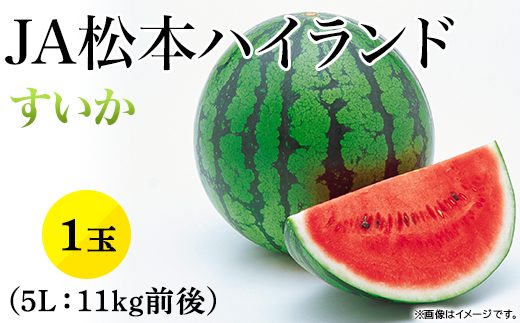 1813【5L】JA松本ハイランドすいか1玉 （約11kg）【2024年7月中旬～8月上旬発送】