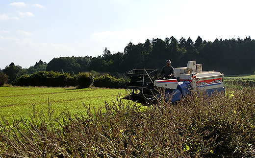 10-06 すりえごま100g×2袋セット【エゴマ 国産  阿見町 小分け 個包装 オメガ3 えごま すりごま】