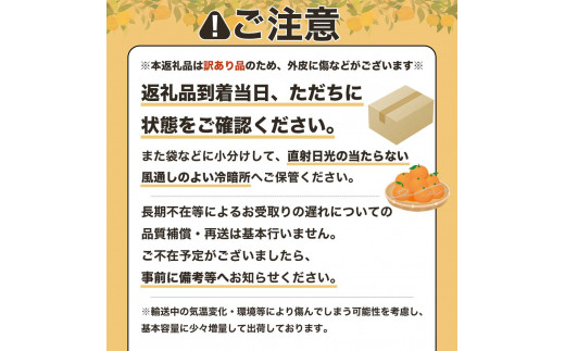 【訳あり】ぽんかん10kg（谷川果樹園）デコポンの親 先行予約 みかん 蜜柑 ミカン 不知火 しらぬい 柑橘 かんきつ ポンカン フルーツ オレンジ 果物 くだもの 果汁 甘い【R01142】