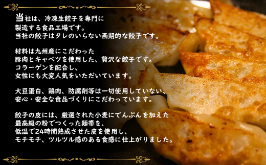 【定期便3回】タレ不要！！ 肉汁 溢れる『 玉名餃子 』 20個 | 餃子 ぎょうざ お手軽 小分け 冷凍 冷凍食品 おかず 豚肉 熊本県 玉名市