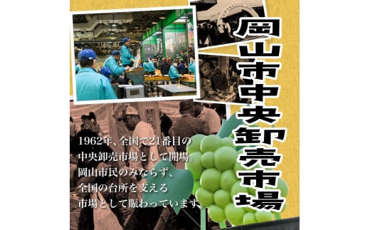 ぶどう 定期便 2025年 先行予約 晴れの国 岡山 の ぶどう定期便 3回コース 葡萄 ブドウ 岡山県産 国産 セット ギフト