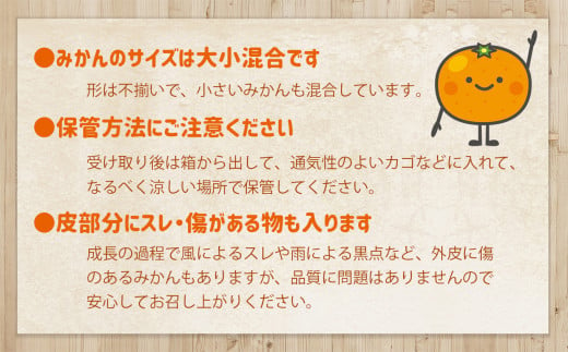 訳あり みかん 18kg 大小混合 果物 熊本県なごみ町産  | 熊本県 熊本 くまもと 和水町 なごみまち なごみ みかん ミカン 蜜柑 柑橘 柑橘類 温州 果物 フルーツ 不揃い キズ スレ