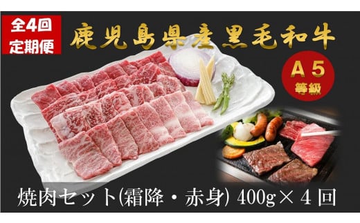 【ふるさと納税】【定期便/全４回】　焼肉大好き　 A5等級　鹿児島県産黒毛和牛焼肉セット