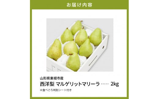 【令和6年産 先行予約】西洋梨マルゲリットマリーラ2kg　秀品　化粧箱入り 山形県 東根市 東根農産センター提供 hi027-136