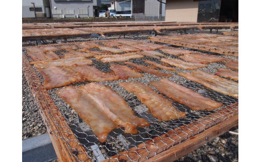  勝浦産　天日干し干物　さめのたれみりん（500g×2）