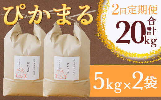 【R6年産米 定期便2回】多良木町産 『ぴかまる』 10kg(5kg×2)×2回 【計 20kg 】 定期便 定期配送 精米 お米 米 艶 粘り 甘み うま味 もちもち 熊本のお米 20キロ 熊本県 多良木町  044-0592