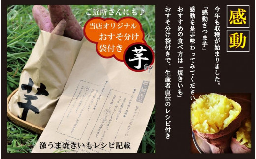 【鹿児島県産】熟成 紅はるか 5kg (1箱 ) Mサイズ さつまいも