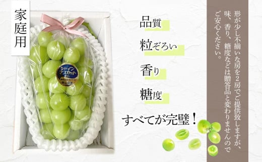 ぶどう 2025年 先行予約 糖度18度以上 岡山県産 シャインマスカット 1.2kg以上 2房 家庭用＜9月以降発送＞