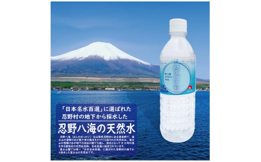 富士山麓　名水百選の天然水（みずごこち）500ml×24本