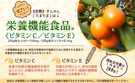 【期間限定発送】 糖度16度以上 きんかん 「たまたま」 1kg×2 計2kg A2Lサイズ [農林産物直売所 美郷ノ蔵 宮崎県 美郷町 31ab0063] 金柑 柑橘 果物 フルーツ 国産 九州産 宮崎県産 数量限定