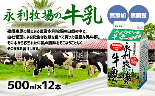 永利牧場の牛乳 500ml×12本セット