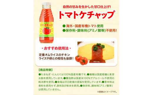 有機HOTソース+調味料セット 5種セット 計6個 光食品株式会社《30日以内出荷予定(土日祝除く)》徳島県 上板町 ケチャップ ピザソース ドレッシング ポン酢 しょうゆ ホットソース HOTソース