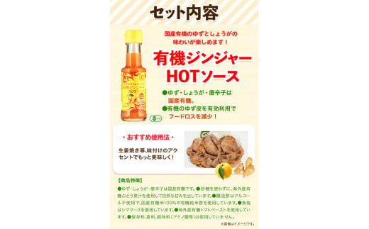 有機HOTソース+調味料セット 5種セット 計6個 光食品株式会社《30日以内出荷予定(土日祝除く)》徳島県 上板町 ケチャップ ピザソース ドレッシング ポン酢 しょうゆ ホットソース HOTソース