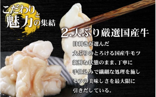 【小分け】 【秘伝のタレ付】 牛 もつ セット 10人前｜小分け 6袋 計1.5kg 国産 味噌 もつ鍋 焼肉 時短 簡単 小腸  国産牛 パーティー 冬 ホルモン おつまみ 真空 冷凍 大ぶり 簡単調理 グルメ 忘年会 コラーゲン しょうちょう 鍋 バーベキュー 焼き肉 牛肉 肉 もつ モツ 内臓 モツ鍋 もつなべ ギフト 味噌味 味噌スープ 味噌ベース 小浜市 タレ 味付き 味付 