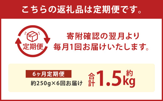 【6か月定期便】熊本産 馬肉 しゃぶしゃぶ 約250g