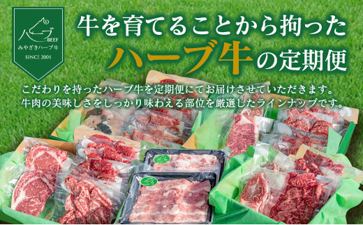 「新年から12か月お届け」2025年開始 厳選 みやざきハーブ牛 12か月定期便 牛肉 焼肉 ステーキ 国産【F88-25】