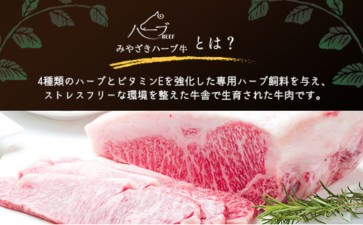 「新年から12か月お届け」2025年開始 厳選 みやざきハーブ牛 12か月定期便 牛肉 焼肉 ステーキ 国産【F88-25】