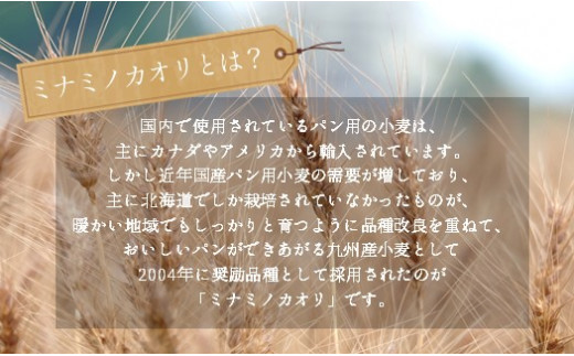 くまもとの未来クッキー 120g×3缶 熊本玉名産小麦使用 | 菓子 お菓子 おかし 洋菓子 焼き菓子 クッキー バニラ 防災クッキー 防災食 熊本県 玉名市