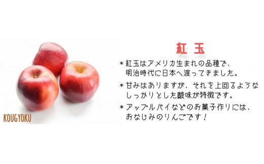 りんご 紅玉 家庭用 4.5kg 中村ファーム ( 中村りんご農園 ) 沖縄県への配送不可 2024年9月下旬頃から2024年10月下旬頃まで順次発送予定 令和6年度収穫分 長野県 飯綱町 [0558]