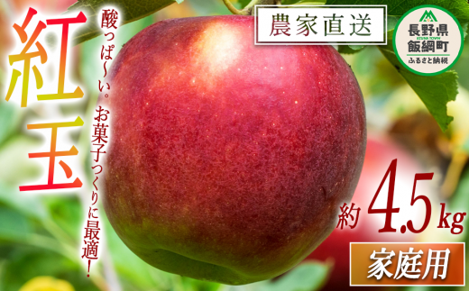 りんご 紅玉 家庭用 4.5kg 中村ファーム ( 中村りんご農園 ) 沖縄県への配送不可 2024年9月下旬頃から2024年10月下旬頃まで順次発送予定 令和6年度収穫分 長野県 飯綱町 [0558]