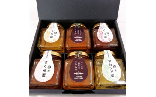 国産蜂蜜物語 (国産はちみつ100g × 6個) ギフトセット【 蜂蜜 はちみつ ハチミツ ギフト 贈答 プレゼント セット 国産 はちみつ 茨城県 つくば市 】