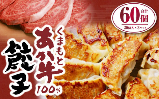 くまもと あか牛100％ 餃子 合計60個 20個入り×3パック 国産